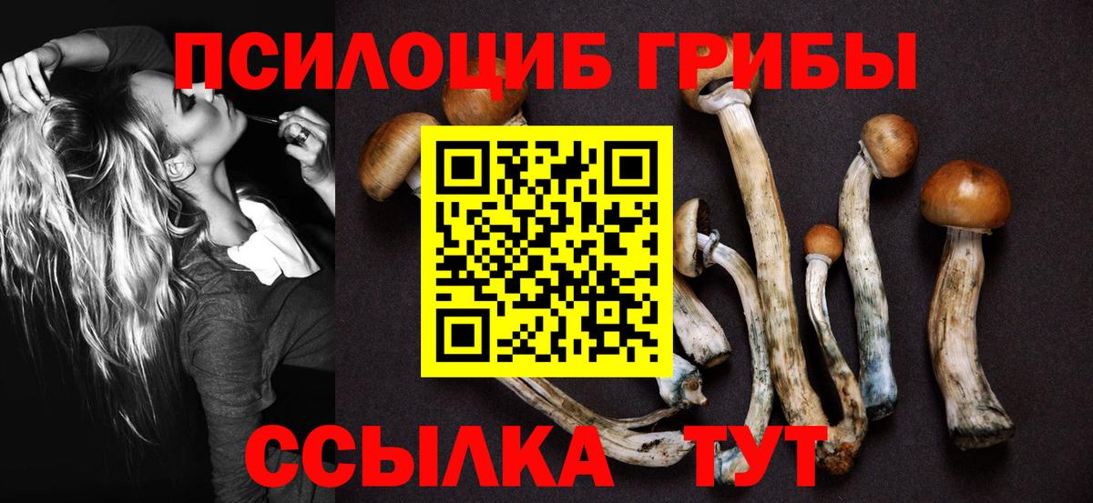 Полевской  Псилоцибиновые грибы мухоморы  Вход с VPN  магазин    Галлюциногенные грибы Cubensis 